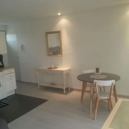 Apartament And Festival Palais *