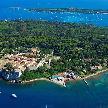 Apartament And Festival Palais