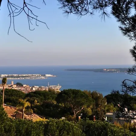 And Festival Palais Cannes