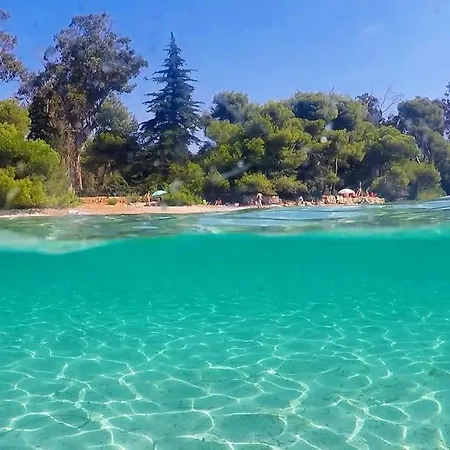 And Festival Palais *