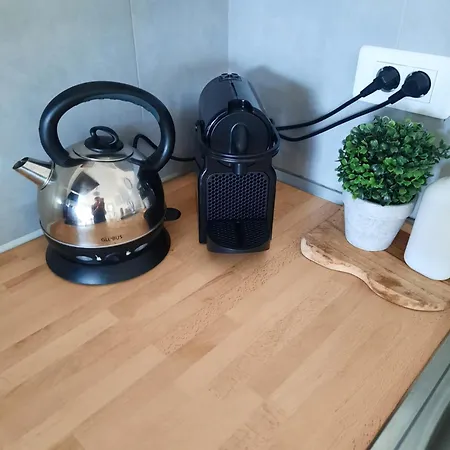 And Festival Palais *