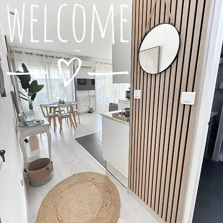 And Festival Palais *