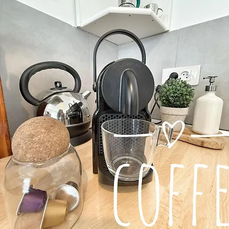 Apartament And Festival Palais *