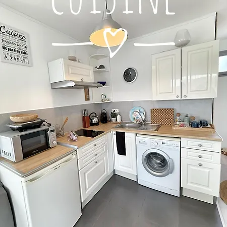 And Festival Palais *