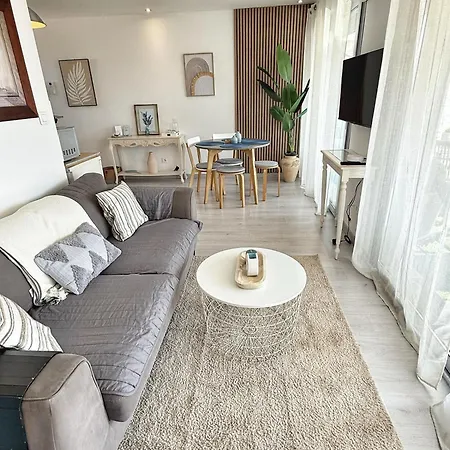 And Festival Palais Apartment Cannes
